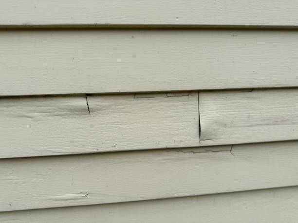 Best Shed Removal  in Gladstone, MI